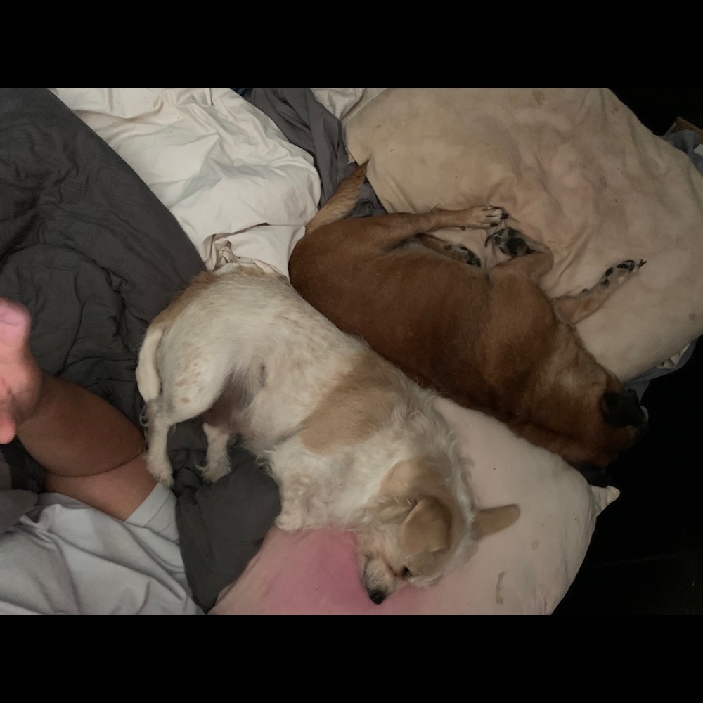 Meet your Posher, Veee